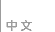 中文