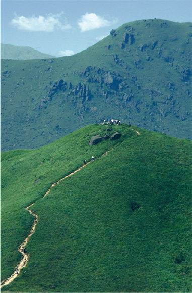 From Kowloon Peak's crest, keen hikers behold green vistas of craggy mountains and undulating hills.