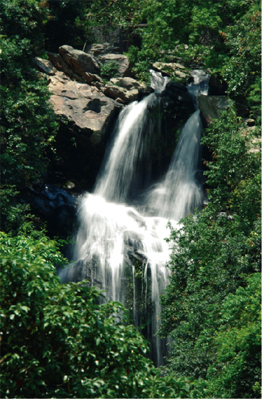 There are more than 50 beautiful waterfalls throughout Hong Kong.